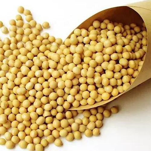 黃豆